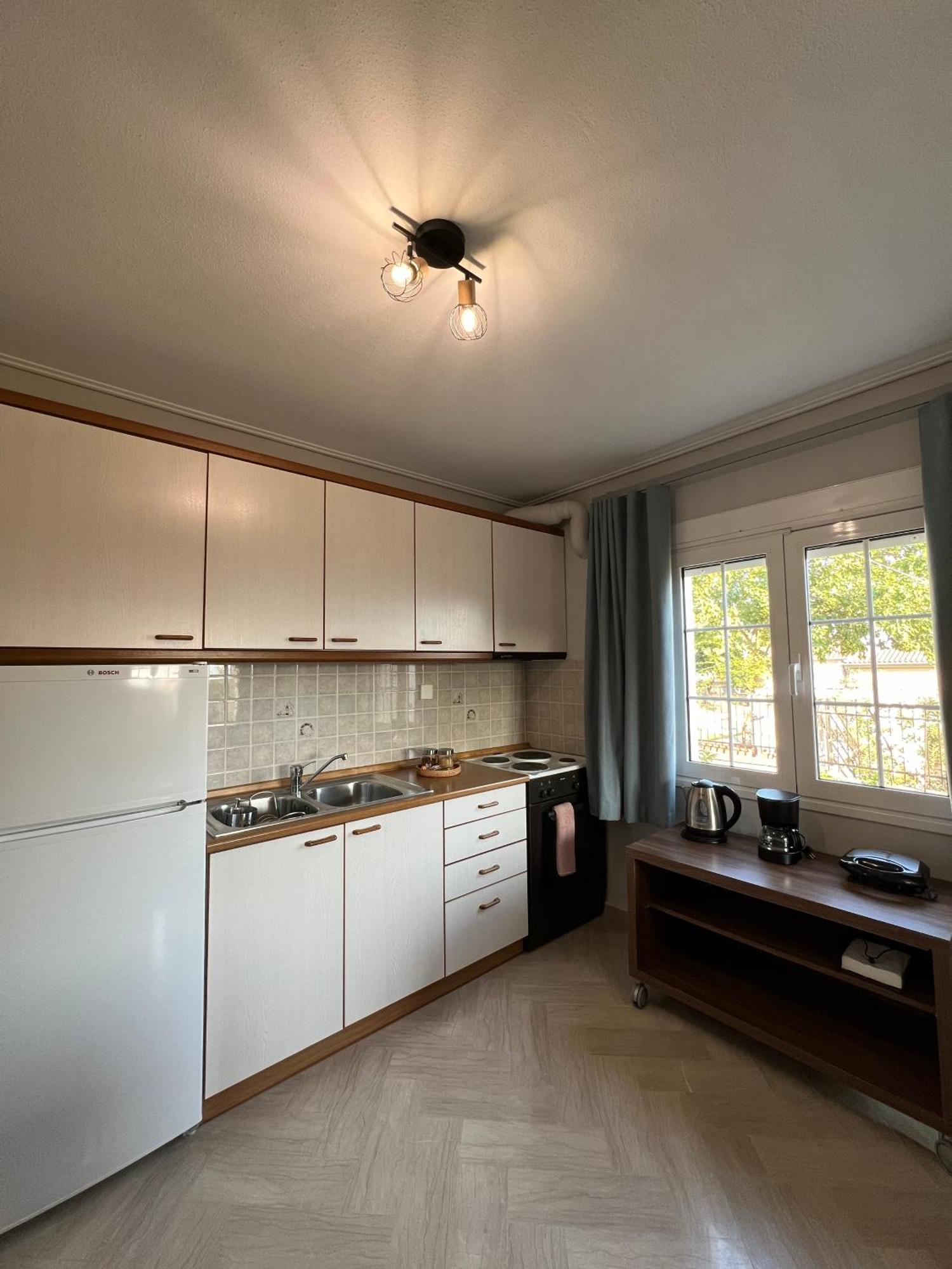 Aiolos Seaside Apartment Marathos  Εξωτερικό φωτογραφία